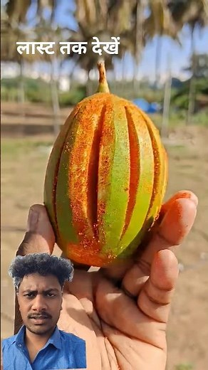 best mango eating tricks #mango #fruit #shorts #youtubeshorts #viralvideo‪@juicingchannel‬