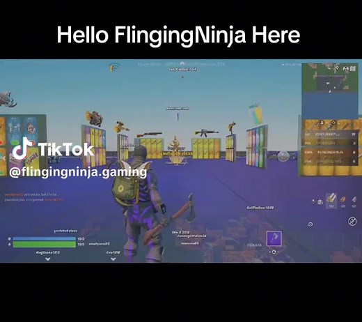 Unlock Aimbot Remote for 1V1 with Every Gun