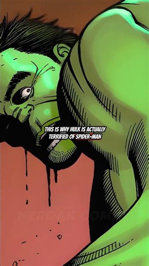 Spider-Man Scared the HULK