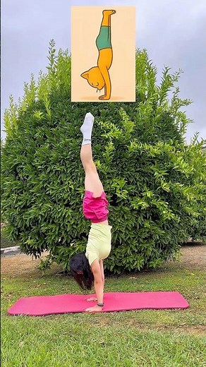 Cat Yoga Challenge — How Many Can You Do? 😼🤸‍♀️