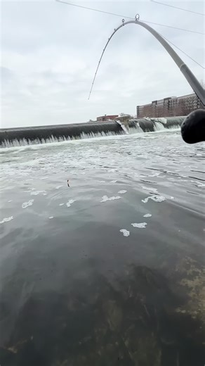 Reflecting on 2025: Fishing Adventures and New Beginnings