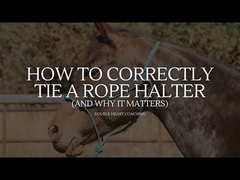 How to Tie a Rope Halter