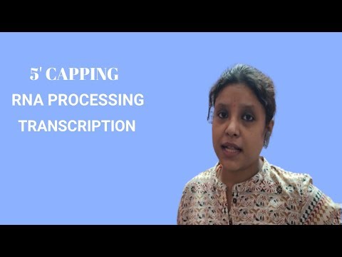 5' CAPPING//RNA PROCESSING//TRANSCRIPTION.