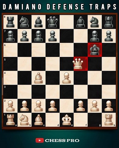 Damiano Defense Traps Opponents in 12 Moves? #chess #checkmate #chesspro #chessopening #chesscom