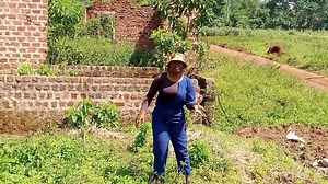 8.5K views · 530 reactions | Plot with house of 3bedroom, 1sittingroom with dining plus kicthen inside is for sale in luwule mukono just 2k from mukono town seated on 50/100 and it's on agreement 欄 The owner wants 30m but negotiable For more details contact Mrs Rose 0754698659 or watspp her on 0780322383 | Amanda Magezi investments limited | Facebook