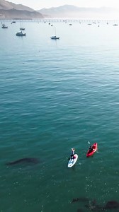 Experience Avila Beach from a whole new perspective with Avila Beach Paddlesports! 🌊✨ Glide across the crystal-clear waters on a stand-up paddleboard or kayak and soak in the stunning views of sea life, the historic Point San Luis Lighthouse, and more. Your next adventure awaits!☀️ Click the link below to book your rentals for your upcoming trip!: https://avila-lighthouse.visitlink.me/g6BTLg!/e/avila-beach-paddlesports-d36e4a9d/ 🎥: @drewglickmanfilms @avilabeachpaddlesports #AvilaLighthouseSui