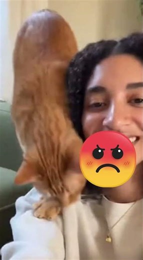 My Cat Slaps Phone Out of Hand During Video! 😼📱💀 (SAVAGE!) #Shorts