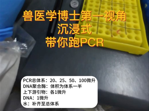 手把手带练PCR，小白也能看懂每一步