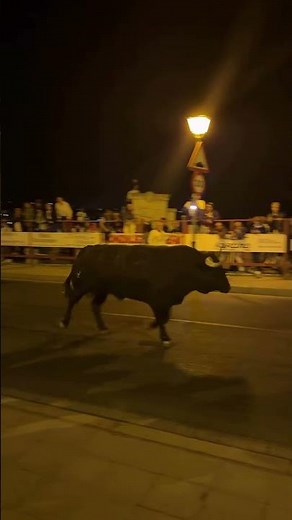 A massive bull chasing people at night 😱 #Bullfighting #Spain #bullfight #bullfighter