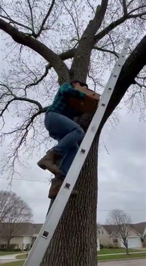 Woman Rescues Newborn Baby Squirrels And Saves Their Lives 🐿️❤️ #shorts #YouTubeShorts