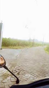 gopro hero 4 black 1080p 80 fps edit by google foto