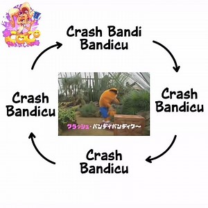 Coco Bandicoot on Reels