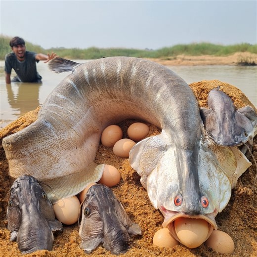 3.2M views · 18K reactions | Amazing beautiful village dry place underground river so many big stuck fishing. best 2024 fishing video #fishing #fish_video | Discovery Site | Facebook