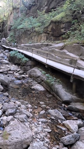 So beautiful cascading mountain stream that flows through the narrow valley. But, the brook's seem dry, just small stream. 🥰❤ #Brookfield #beautifulnatureview #theflumegorgeinnewhampdhire | Jessica Bowser