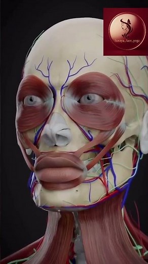 Comment rajeunir naturellement