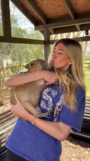 Cute Capybara Day: Adorable Moments with This Pet