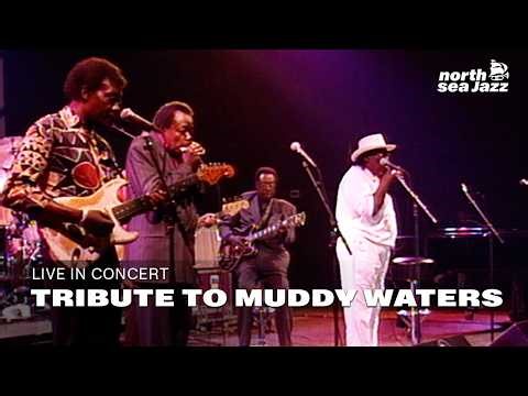 Tribute to Muddy Waters - Full Concert [HD] | Live at North Sea Jazz Festival 1993