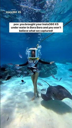 Underwater 360 Camera In Bora Bora, You Won't Believe What We Saw 🏝️🐳🐠