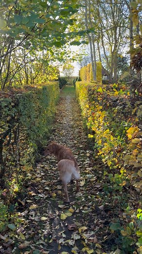 Heading off... | News from Monty Don