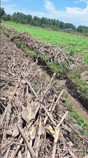 How do you manage farm waste?#Trashlines #SoilHealth #SLM #Farm