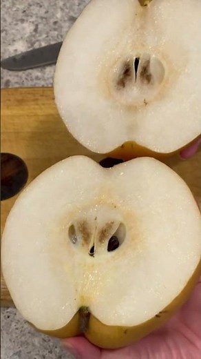 Trying Korean Giant Pear