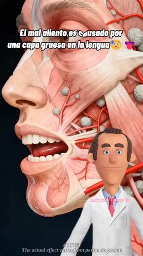 2.4K reactions · 99 shares | Con el Gel Limpiador de Lengua + Cepillo Profesional tendrás frescura al instante: ✅ Elimina bacterias desde la raíz ✅ Refresca con menta natural  ✅ Cepillo ergonómico y fácil de usar 瘟 ✅ Ideal para uso diario y toda la familia ‍‍  Frescura real y confianza en cada conversación.  ¡Ordénalo ahora y paga al recibir! | Todo naturalmente saludable | Facebook