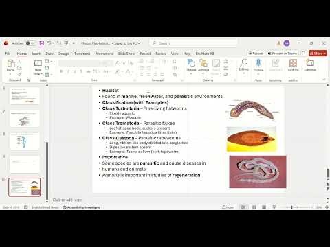 Chapter Animalia phylum platyhelminthes