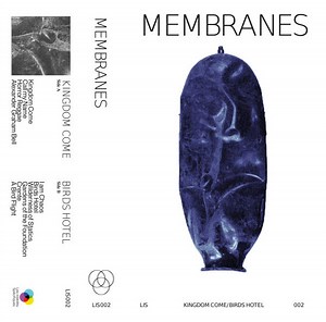 33330255-Membranes-Membranes