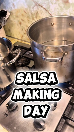 Salsa Making Day 🌶️ 🍅 #homemade #salsa #canning | Homemade Salsa