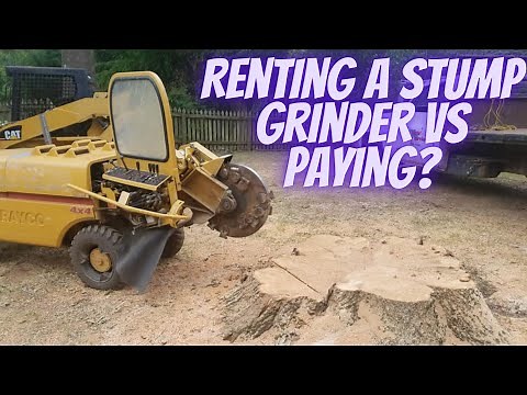 Renting a stump grinder VS paying Someone