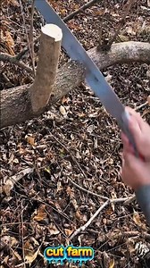 Cutting a Thick Tree Branch with a Hand Saw | Smooth & Fast Wood Cutting#HandSaw #TreeCutting