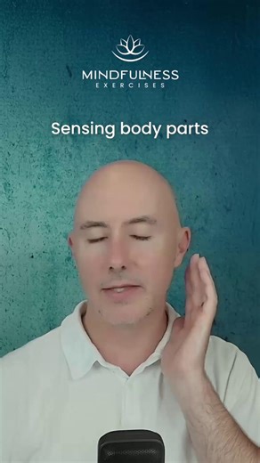 Not a fan of body scans? 🌿 Here’s a playful way to reconnect with your body — and your emotions — without forcing it. Try this: Pick a random part of your body. 👂 Your left earlobe. 👁️ Your right eyelid. 🦶 Your middle toe. 💓 Even the bottom of your heart. Now ask gently: Can I feel this place… without touching it? Can I sense its texture, its energy, its emotion? Some spots will be easy. Others will feel distant. That’s okay. The invitation is to playfully explore. 💫 Each time we do this, 
