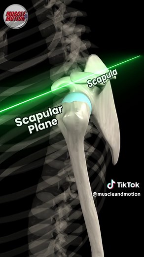 Understanding Movement Planes: Scapula Plane vs. Frontal Plane