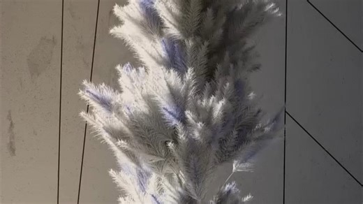 花开花落作者：Subframe