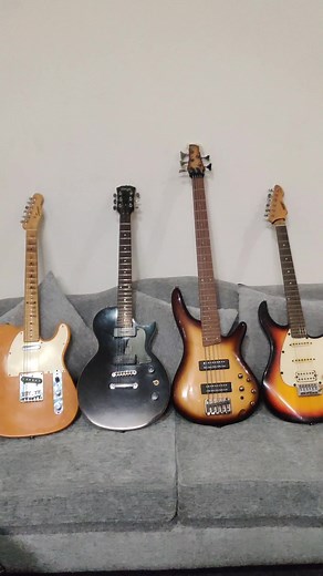 #telecaster #stagg #ibanez #raptor