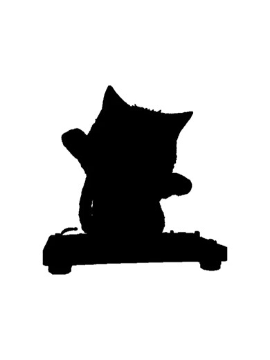 A Cat Djing With Miniature Turntables (45)