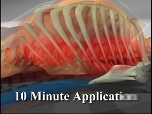 Back Pain Relief - The True Back Way