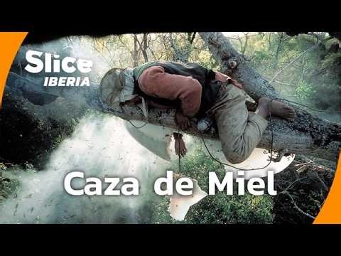 Los nómadas raji y la caza de miel en los bosques de Nepal | SLICE Iberia | DOCUMENTAL COMPLETO