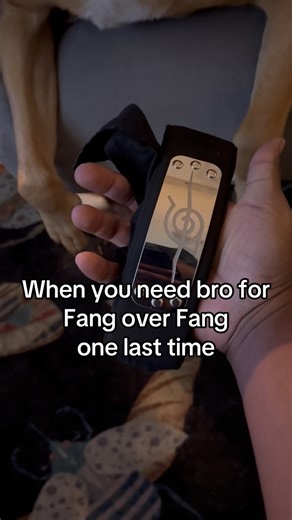 The Yonko Table on Instagram: "WE’RE GONNA BE HOKAGE! #naruto #narutoshippuden #kiba #akamaru #boruto"