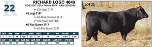 Lot 22: Richard Angus Ranch - Annual Angus Bull Sale
