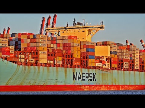4 x 400m LONG ULTRA LARGE CONTAINER SHIPS ARRIVES AT HAMBURG PORT - 4K SHIPSPOTTING HAMBURG 2024