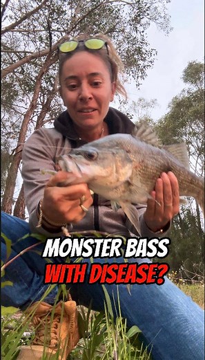 16K views · 494 reactions | MONSTER BASS 45cm with problems  Like...