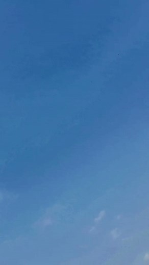 BD Model & Actress on Reels