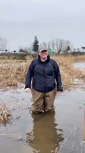 Amplify your potential. Learn to do more, create more and become more at PSU. Visit https://apply.pdx.edu/portal/psu-portland PSU students from the Maseeh College of Engineering and Computer Science get hands-on training with faculty in the lab and in the field to study an innovative approach for supporting critical Portland infrastructures during a major earthquake. The extreme stress from an earthquake may cause soil to liquify - imagine quick sand - resulting in the collapse of critical infra