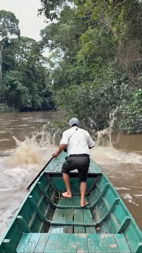 The monkeys jump down all at once 1444 | Myrtleno Lawa