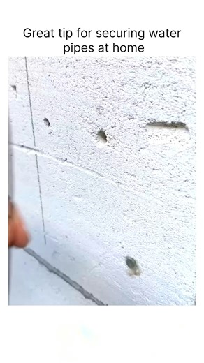 Memes😂 on Instagram: "Fun fact: Octopuses have three hearts and blue blood. Two hearts pump blood to the gills, while the third pumps it to the rest of the body — and that third heart actually stops beating when they swim. That’s why octopuses prefer crawling instead of swimming whenever possible. Their blue blood comes from a copper-based molecule called hemocyanin, which works better in cold, low-oxygen water. Intelligent, alien, and oddly relatable — octopuses are proof that Earth already ha