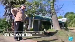 9.5K views · 113 reactions |  Tributes flooded in from Latin America on Tuesday after #Uruguay's ex-president Jose "Pepe" #Mujica, a leftist icon known for his humility and progressive policies, died at 89. FRANCE 24 takes a look back at the ex-guerilla fighter's life ⤵️ | FRANCE 24 English | Facebook