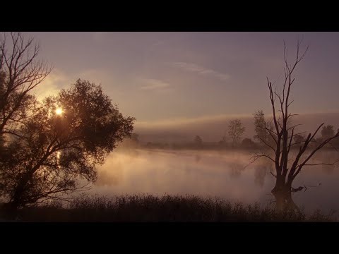 The Voice of the Danube