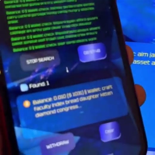 Seed phrase recovery tool