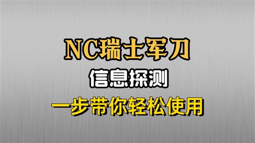 一个视频带你轻松学会NC瑞士军刀的信息探测